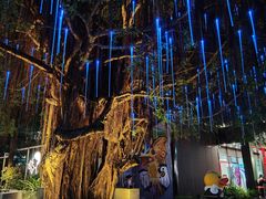 -陈鹏鹏潮汕菜(欢乐海岸 海边景观店)