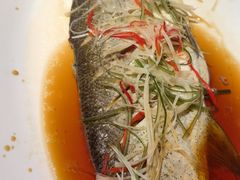 -沈家花园如皋菜(海阳路店)