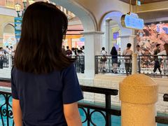 -澳门威尼斯人综合度假区