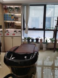 -碧莲盛·不剃发植发