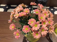 -GOGO Plate(成都太古里店)