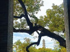-江心屿景区