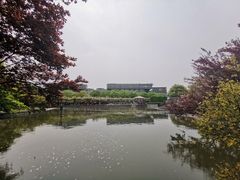 -嘉定紫藤园