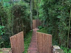 -青城山