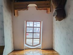 -金山农民画村-枫泾波兰倒置屋