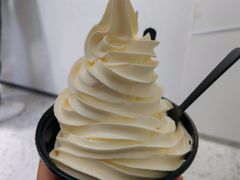 老味道冰淇淋一斤装-雪怪冰室(北湖店)
