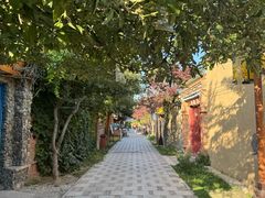 -特克斯八卦城