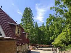 -神户市立六甲山牧场