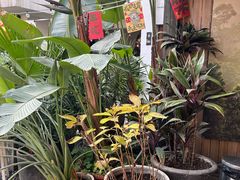 -云里小坐·小院里·团建·宴请·下午茶(三圣乡店)