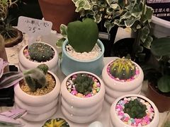 -瑞虹新天地月亮湾