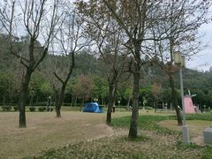 -顺峰山公园