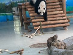 -柳州市动物园