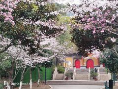 -宝岩生态观光园