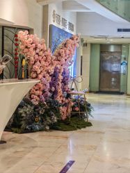 -石家庄苏亚美联臣医疗美容医院
