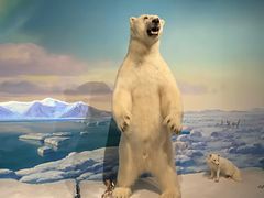 -陕西自然博物馆