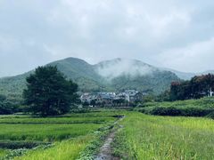 -莫干山风景区