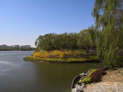 -大兴滨河森林公园