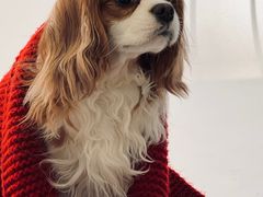 -小意思咖啡店(草桥店)