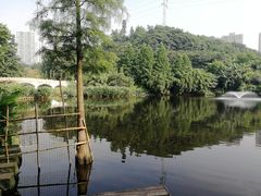 -重庆彩云湖湿地公园