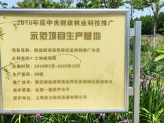 -上海长兴岛郊野公园