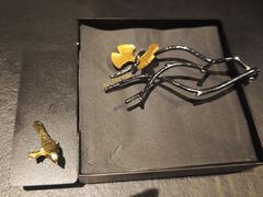 -茶人村·前滩江景雅宴(上海首店)