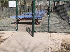 -古塔公园