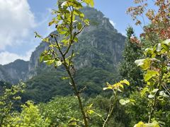 -太行锡崖沟旅游度假区