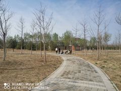 -马家湾湿地公园