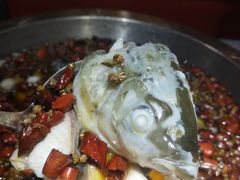 -雲蜀龙阁·金牌水煮鱼(方庄店)