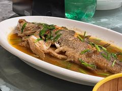 -豆花酒楼·三十八年匠心(秦皇东大街店)