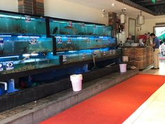 水产区-南海渔家•海鲜•正宗海南菜(海棠湾店)