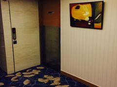 -北京望京华彩智选假日酒店