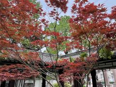 -墨池公园