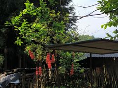 -碧峰峡风景区