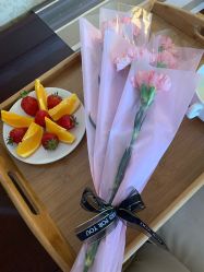 -大美母婴月子中心