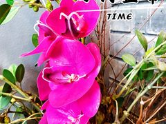 -小河盐帮·私家菜·烤鸭(三元桥·霄云路店)