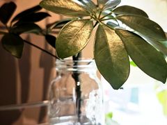 -Punchline Coffee&Roaster(同济大学店)