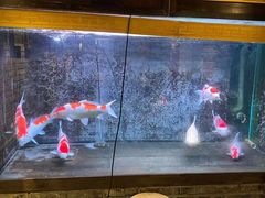 水产区-小龙坎火锅(香港中路店)