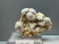 -湖南省地质博物馆