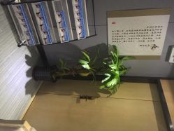 唯伊美专业女子瘦身连锁机构(徐汇店)-唯伊美塑身美养连锁