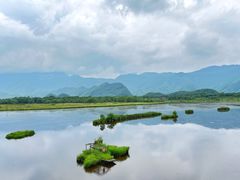 -大九湖