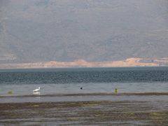-大理洱海