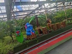 -南宫五洲植物乐园