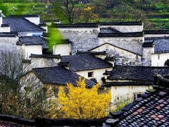 -塔川景区