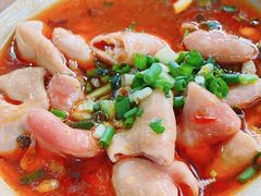-周肥肠(江油总店)