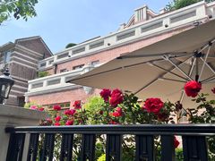 -天津五大道文化旅游区