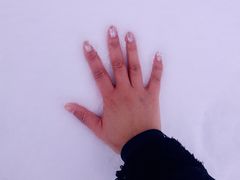 -北海道厅旧本厅舍(旧本庁舎)