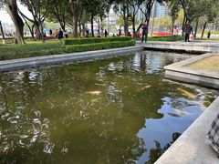 -顺峰山公园