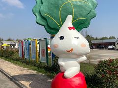 -上海都市菜园