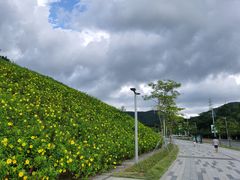 -白石龙音乐公园